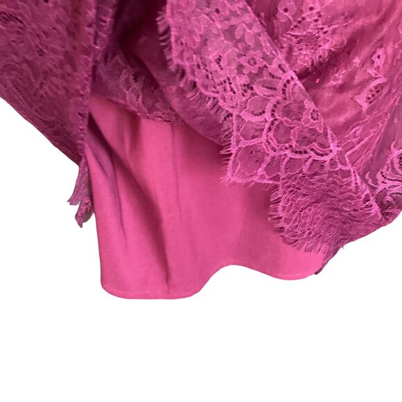 Greylin Burgundy Shirley Lace Sheath Dress LARGE Whimsygoth Dark Fairy Prom - Picture 11 of 14